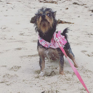 Meet your Posher, Caroline